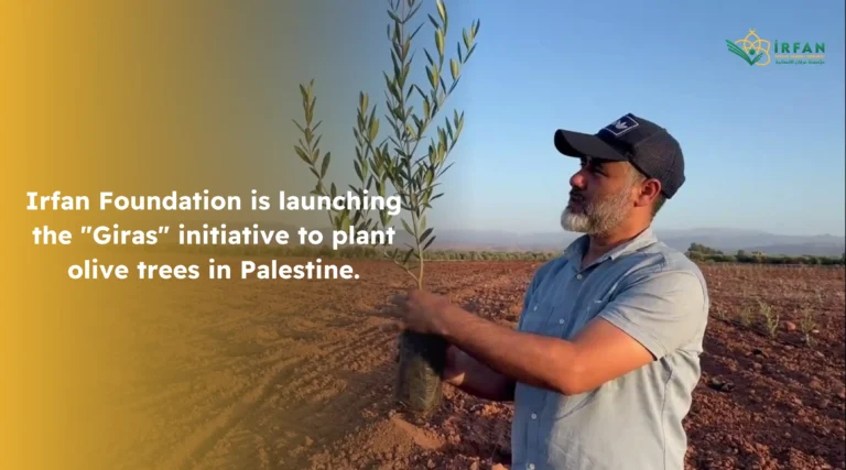 Irfan Foundation is launching the “Giras” initiative to plant olive trees in Palestine.