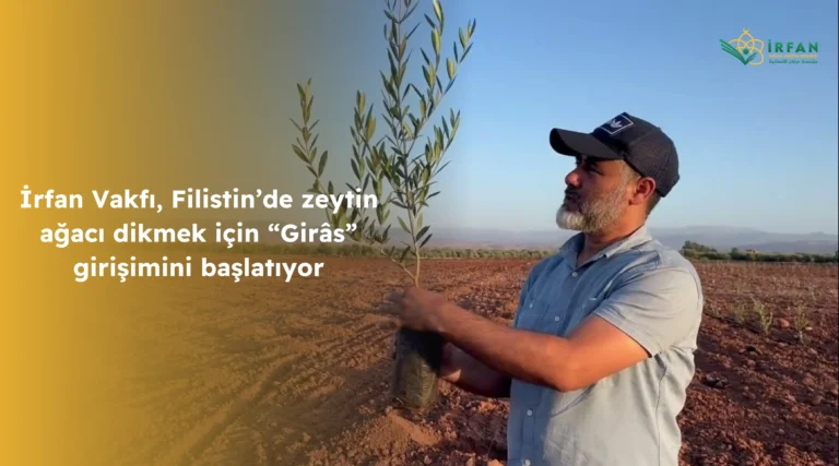 İrfan Vakfı, Filistin’de zeytin ağacı dikmek için “Girâs” girişimini başlatıyor.